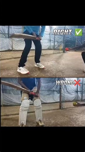 cricket batting practice video