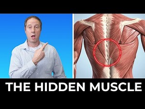 The Hidden Shoulder Muscles Driving Cervicogenic Dizziness & Headaches (4 Exercises for Fast Relief)
