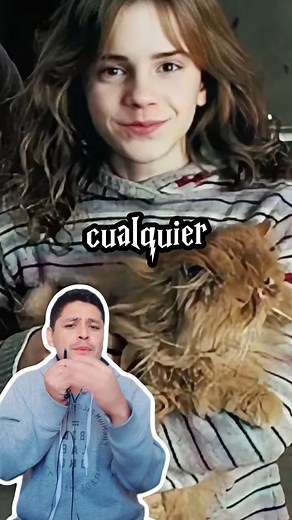 ¿Por qué Crookshanks es tan Importante en Harry Potter? #harrypotter | Lioval Horrocrux