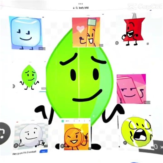 Don’t mess with bfdi