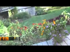 Woman scares away bear with her shout