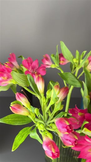 Discover Spring Reads on BookTok 🌸