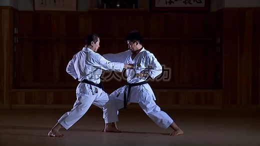 63K views · 408 shares | [BUDOJAPAN.com New VOD!!] The original Kata...