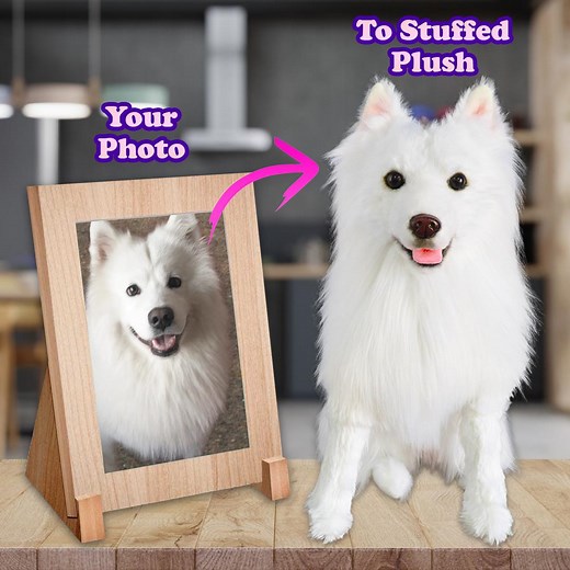 Custom Stuffed Animal of Your Pet | Handmade Plush From Photos