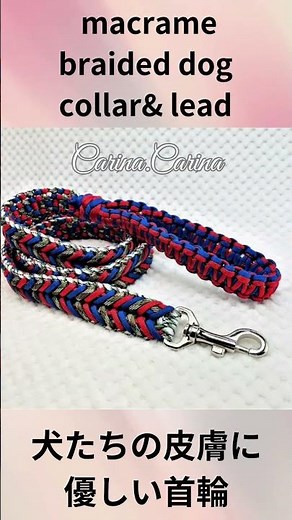 [パラコードでマクラメ編み]#115 中型、大型犬犬首輪＆リード #shorts Macrame Braided Dog Collar & Leash Set