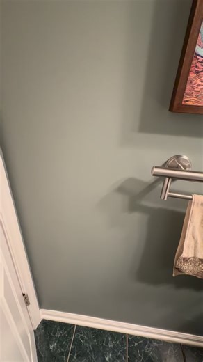 7 comments | Here are two examples of hidden assist grab bars. The toilet paper holder and towel rack both support 500 pounds! No more worries about grab bars looking institutional. These work for Everyone. #grabcessories @livewellhomesafetysolutions #ageinplace #occupationaltherapy #fallprevention #homecare #arthritis #homemodifications #safety #alzheimers #md #copd #parkinsons #athomeforlife️ | The Organized Caregiver - Lynda Shrager | Facebook