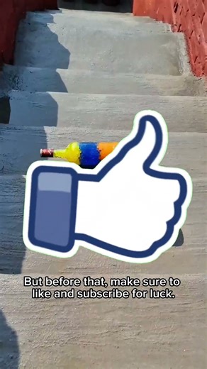 ⚡️🌿 Nature’s Lightning Runners: The World’s Fastest on Foot! 🐆✨