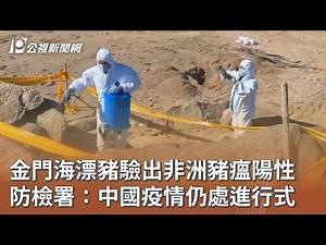 金門海漂豬驗出非洲豬瘟陽性 防檢署：中國疫情仍處進行式｜20260717 公視午間新聞