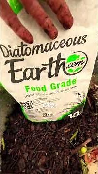 Feeding Worms, Harvesting Castings & Controlling Pill Bugs | Outdoor Worm Bin Update
