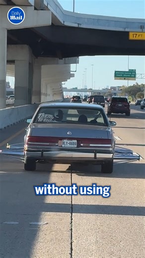 138K views · 879 reactions | Don’t get too close!  | Daily Mail Video | Facebook