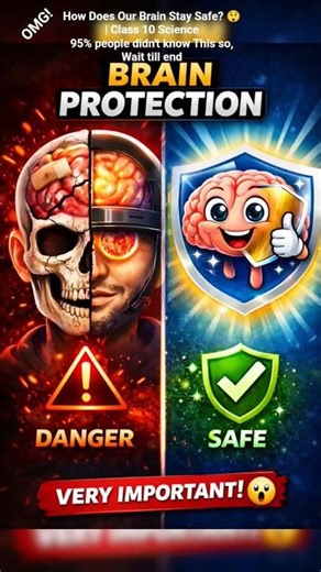 How Does Our Brain Stay Safe? 😲 | Class 10 Science#facts #shorts #trending