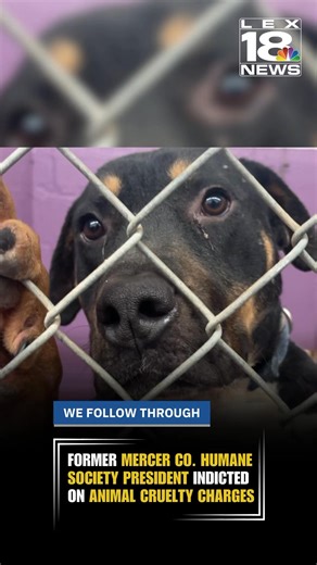 In August, a Mercer County drug bust led to the discovery of dozens of dogs living in a Harrodsburg home. Police first arrested Gabriella Follmer and Kenneth Brawner on drug and animal-related charges. Later, another woman living in the home, Amanda Coontz, was also charged, along with the homeowner, Karen Aubrey.Aubrey served as the Mercer County Humane Society’s president but resigned shortly after the initial arrests were made in the animal cruelty case.After Mercer County Animal Control took