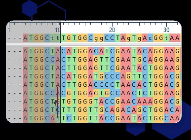 Bioinformatics Software | DNASTAR