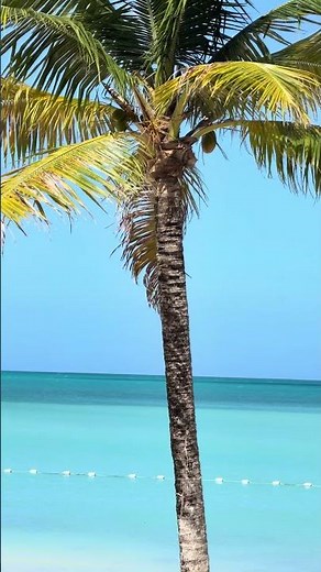 Complimentary Water Sports at Royalton CHIC Antigua | Caribbean Escape
