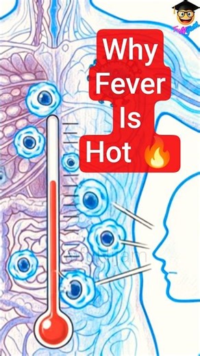 fever వస్తే..... #fever #facts #viral