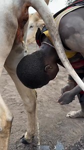 197 reactions · 23 shares | Who can help me explain the meaning of this rituals. | Noah Theblogger | Facebook