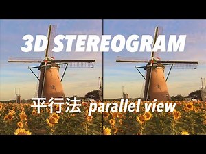 STEREOGRAM (Parallel View 3D) | 平行法☆ステレオグラム | P20 STEREOSCOPIC