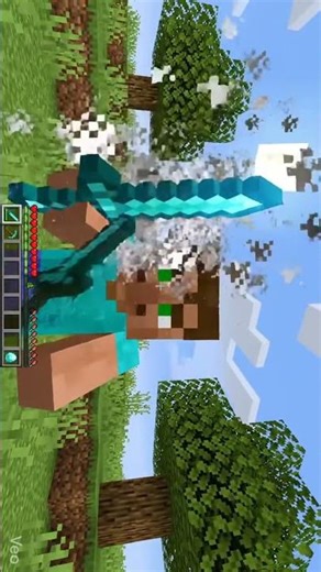 Did My Minecraft Sword Just TALK?! 😳⚔️#shorts #ytshorts #steve #trending #viral