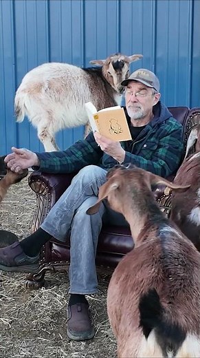 Reading on the Ranch: Winnie the Pooh, Chapter 2