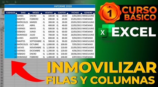 20K views · 1.2K reactions | CÓMO INMOVILIZAR FILAS Y COLUMNAS EN 2...
