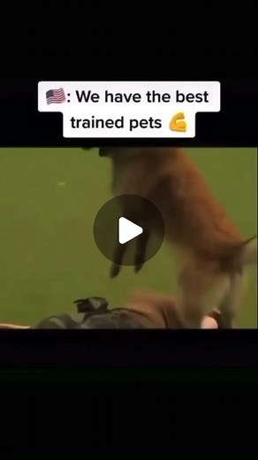 Biggus Diccus on Instagram