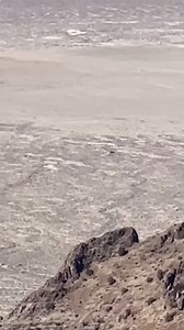 Human flying a squirrel suit