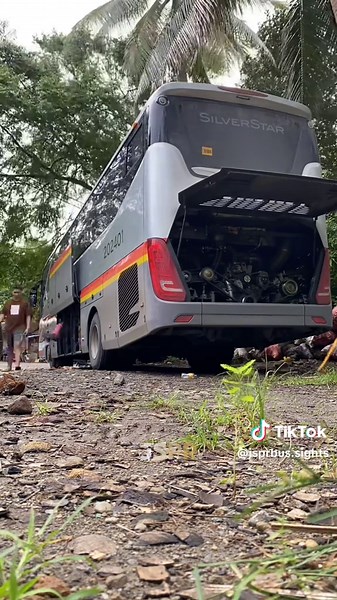 Exploring Silver Star Shuttle and Tours Inc. Buses