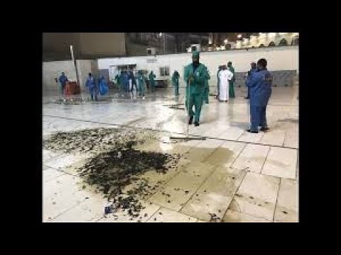 MILLIONS OF FLYING COCKROACHES INVADE MECCA FOR THE FIRST TIME IN HISTORY || #CANDIDBERRY