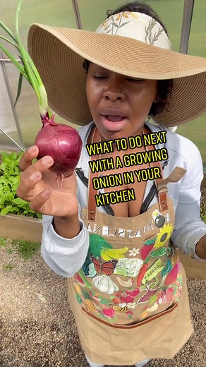 Growing Onion Plants: Planting Tips and Tricks