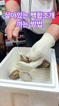 조개 중에 가장 맛있다는 백합조개 까는 방법