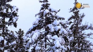 56K views · 2.5K reactions | Do Nothing For Two Minutes Take a...