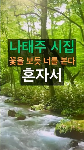 나태주 시집 꽃을 보듯 너를 본다 혼자서. #나태주 #나태주시인