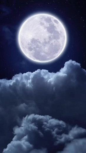 42 reactions | Cats BTS ‘Cats out of the Bag!’Do you remember this game from Spicks and Specks? Try and guess these famous CATS melodies sung to a random page of a random book..  Tickets are selling fast; grab yours below: https://www.jettytheatre.com/cats-the-musical/ | Naidu Theatre Company | Facebook