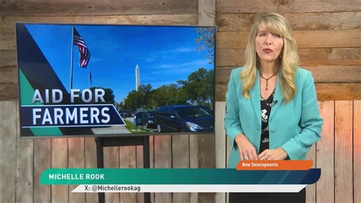 Christmas Comes Early: Trump Administration Announces $12 Billion in Bridge Payments for Farmers