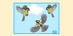 Poster of Flying Birds