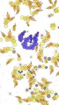 Blue Coral - Cell Lab: Evolution Simulation - #Gaming #AI #2025 #Simulation