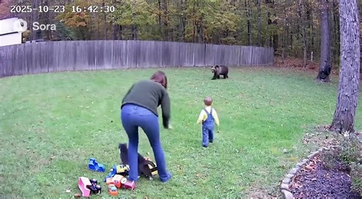 🐻😱Bear attack caught on cctv footage🐻😱 #viralpost2025シ #viralvideochallenge#viralreelschallenge #viralchallenge #viralreelschallenge2025viralreelschallengejaiviralreelschallengeviralreelschallenge #viralchallenge #usareels #usa #usa_tiktok #fypchallenge #facebookpost #facebookreel #facebookviral | Brainstorm Stories