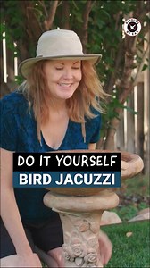 An easy way to convert your bird bath into a bird attracting magnet. The pump is a 40GPH submersible. A full length DIY to answer all of your questions to come. ✅ Please tell me what you’d like me to cover in it. Thanks for enjoying the birds with me. #birdingbyear #birdbath #attractbirds #birdlady | Birding By Ear