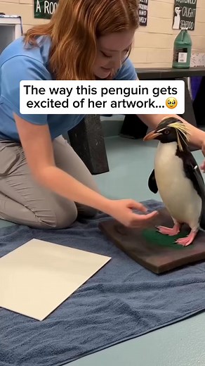 3.6M views · 48K reactions | Check out our adorable penguin bracelet...