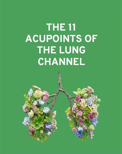 Today, we’re exploring one of the most important channels in Chinese medicine: the Lung Meridian. With 11 points that treat everything from cough and asthma to sore throat, grief, and even emotional release, knowledge of the Lung meridian is vital for every acupuncture student and practitioner. Together, we will break down each point’s location, function, and clinical application, plus how the Lung channel connects digestion, immunity, and respiration. Think of this as your go-to Lung meridian r