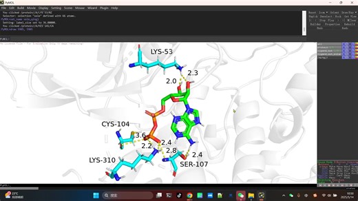 稳妥少年--PyMOL相互作用力分析