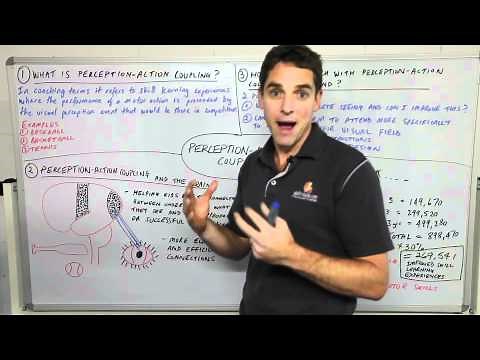 Coaching tutorial - Perception-Action Coupling