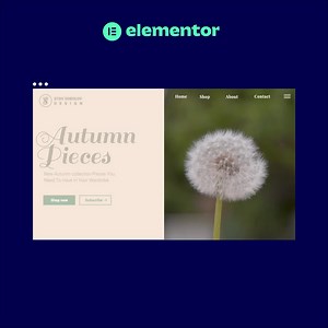 Launch your next WordPress website visually, without writing a single line of code. Easy as blowing on a dandelion 🌬 | Elementor