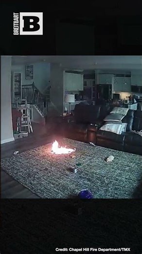 Bad Dog! Dog Starts Fire When Owners Away by Chewing Battery