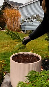 348K views · 1K reactions | Grapevine accent balls make a charming...