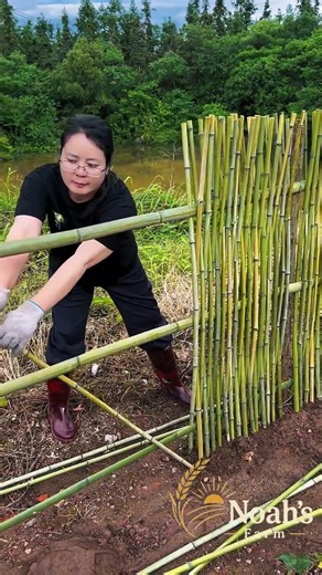 🎋✋ **DIY Bamboo Garden Fence: On-Site Weaving for a Sturdy Barrier**