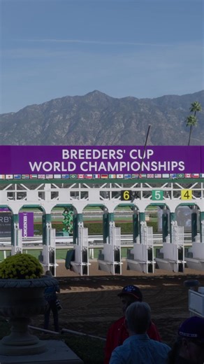 A special moment with FIERCENESS in the Breeders' Cup World Championships Juvenile 🙏 #BC23 | World Horse Racing