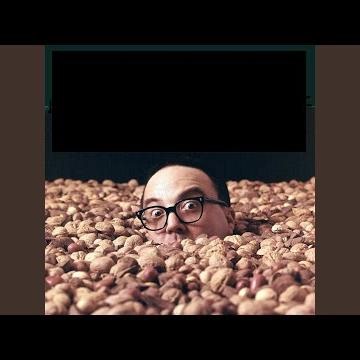 Camp Granada (Hello Mudder Hello Fadder, Here I Am at Camp Grenada) (A Silly Campfire Song) (Live)