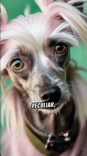 Top 10 Ugliest Animals