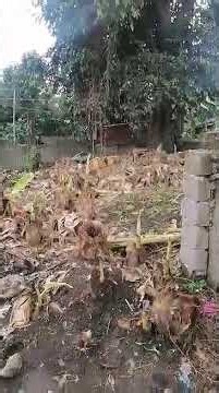Residential Lot for Sale 659 SQM San Pablo City, Laguna Philippines